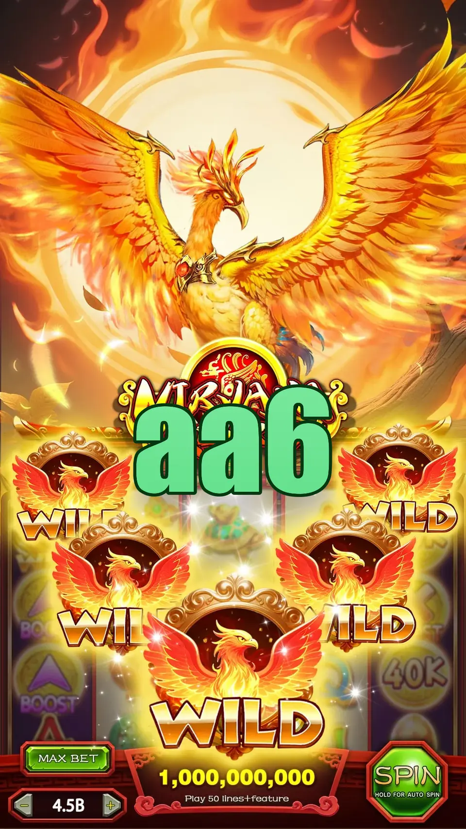 aa6 Login